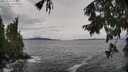 ./images/koeye/fitz-hugh/20250925/fitz-hugh20250925_143001M.jpg