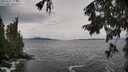 ./images/koeye/fitz-hugh/20250925/fitz-hugh20250925_143501M.jpg