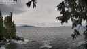 ./images/koeye/fitz-hugh/20250925/fitz-hugh20250925_144002M.jpg