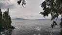 ./images/koeye/fitz-hugh/20250925/fitz-hugh20250925_144501M.jpg