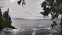 ./images/koeye/fitz-hugh/20250925/fitz-hugh20250925_145001M.jpg