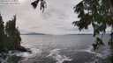 ./images/koeye/fitz-hugh/20250925/fitz-hugh20250925_150001M.jpg