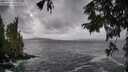 ./images/koeye/fitz-hugh/20250925/fitz-hugh20250925_165002M.jpg