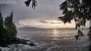 ./images/koeye/fitz-hugh/20250925/fitz-hugh20250925_182001M.jpg