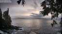 ./images/koeye/fitz-hugh/20250925/fitz-hugh20250925_183002M.jpg