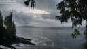 ./images/koeye/fitz-hugh/20250925/fitz-hugh20250925_192001M.jpg