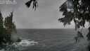 ./images/koeye/fitz-hugh/20250926/fitz-hugh20250926_143001M.jpg