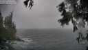 ./images/koeye/fitz-hugh/20250926/fitz-hugh20250926_150001M.jpg