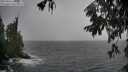 ./images/koeye/fitz-hugh/20250926/fitz-hugh20250926_153501M.jpg