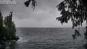 ./images/koeye/fitz-hugh/20250926/fitz-hugh20250926_160501M.jpg