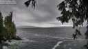 ./images/koeye/fitz-hugh/20250926/fitz-hugh20250926_170501M.jpg