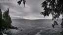 ./images/koeye/fitz-hugh/20250926/fitz-hugh20250926_171502M.jpg