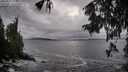 ./images/koeye/fitz-hugh/20250926/fitz-hugh20250926_173001M.jpg