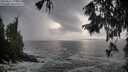 ./images/koeye/fitz-hugh/20250926/fitz-hugh20250926_175501M.jpg