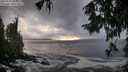 ./images/koeye/fitz-hugh/20250926/fitz-hugh20250926_183501M.jpg