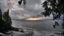 ./images/koeye/fitz-hugh/20250926/fitz-hugh20250926_185001M.jpg