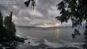 ./images/koeye/fitz-hugh/20250926/fitz-hugh20250926_185501M.jpg