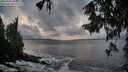./images/koeye/fitz-hugh/20250926/fitz-hugh20250926_190001M.jpg