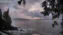 ./images/koeye/fitz-hugh/20250926/fitz-hugh20250926_192001M.jpg