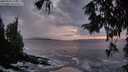 ./images/koeye/fitz-hugh/20250926/fitz-hugh20250926_194001M.jpg