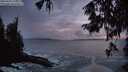 ./images/koeye/fitz-hugh/20250926/fitz-hugh20250926_195001M.jpg