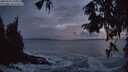 ./images/koeye/fitz-hugh/20250926/fitz-hugh20250926_195501M.jpg