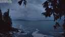 ./images/koeye/fitz-hugh/20250927/fitz-hugh20250927_070001M.jpg