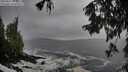 ./images/koeye/fitz-hugh/20250927/fitz-hugh20250927_095501M.jpg