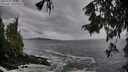 ./images/koeye/fitz-hugh/20250927/fitz-hugh20250927_105501M.jpg