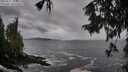 ./images/koeye/fitz-hugh/20250927/fitz-hugh20250927_110002M.jpg