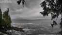 ./images/koeye/fitz-hugh/20250927/fitz-hugh20250927_121502M.jpg