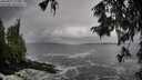 ./images/koeye/fitz-hugh/20250927/fitz-hugh20250927_122501M.jpg