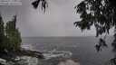 ./images/koeye/fitz-hugh/20250927/fitz-hugh20250927_130002M.jpg