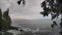 ./images/koeye/fitz-hugh/20250927/fitz-hugh20250927_133001M.jpg