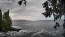 ./images/koeye/fitz-hugh/20250927/fitz-hugh20250927_133501M.jpg