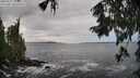 ./images/koeye/fitz-hugh/20250927/fitz-hugh20250927_134001M.jpg