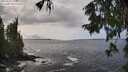 ./images/koeye/fitz-hugh/20250927/fitz-hugh20250927_140002M.jpg