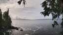 ./images/koeye/fitz-hugh/20250927/fitz-hugh20250927_141001M.jpg