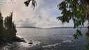 ./images/koeye/fitz-hugh/20250927/fitz-hugh20250927_142501M.jpg