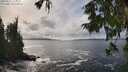 ./images/koeye/fitz-hugh/20250927/fitz-hugh20250927_144001M.jpg