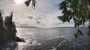 ./images/koeye/fitz-hugh/20250927/fitz-hugh20250927_151001M.jpg