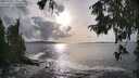 ./images/koeye/fitz-hugh/20250927/fitz-hugh20250927_170501M.jpg