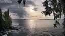 ./images/koeye/fitz-hugh/20250927/fitz-hugh20250927_173001M.jpg