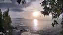 ./images/koeye/fitz-hugh/20250927/fitz-hugh20250927_180501M.jpg