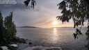 ./images/koeye/fitz-hugh/20250927/fitz-hugh20250927_183001M.jpg