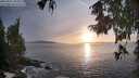 ./images/koeye/fitz-hugh/20250927/fitz-hugh20250927_183501M.jpg