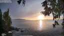 ./images/koeye/fitz-hugh/20250927/fitz-hugh20250927_184001M.jpg