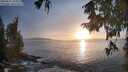 ./images/koeye/fitz-hugh/20250927/fitz-hugh20250927_184501M.jpg
