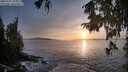 ./images/koeye/fitz-hugh/20250927/fitz-hugh20250927_185001M.jpg