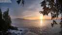 ./images/koeye/fitz-hugh/20250927/fitz-hugh20250927_185501M.jpg